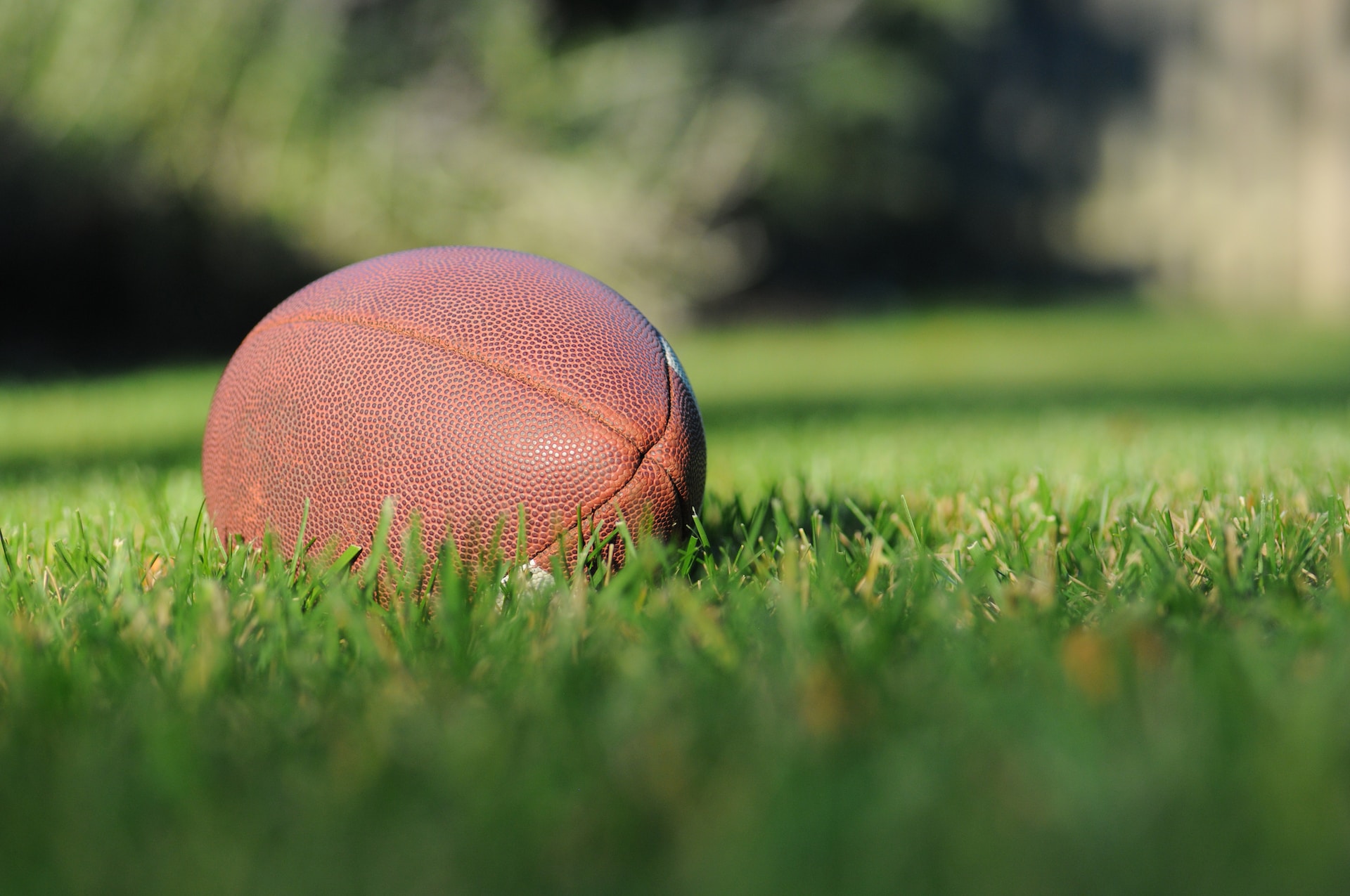 football lying in the grass