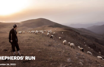 shepherds-run-2023.001
