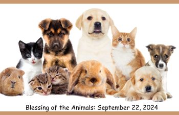 Blessing of the Animals September 22, 2024